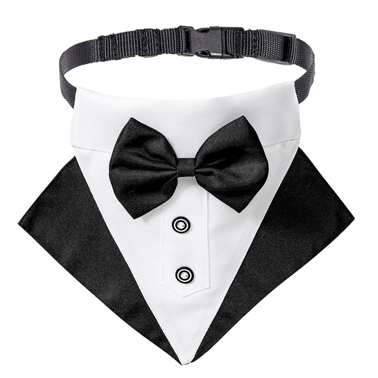 Collar Bandana Madraí Bainise Inchoigeartaithe Tuxedo le Bowtie