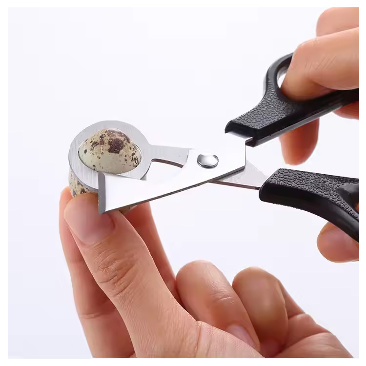 Uirlis Uirlisí Cistin Cheap Pigeon Éan Uibheacha Éan Clipper Clipper Clipper Scissor