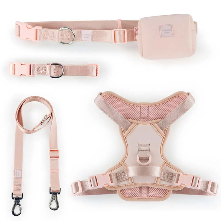 Dílsiú úim peataí padded inchoigeartaithe le collar agus iall
